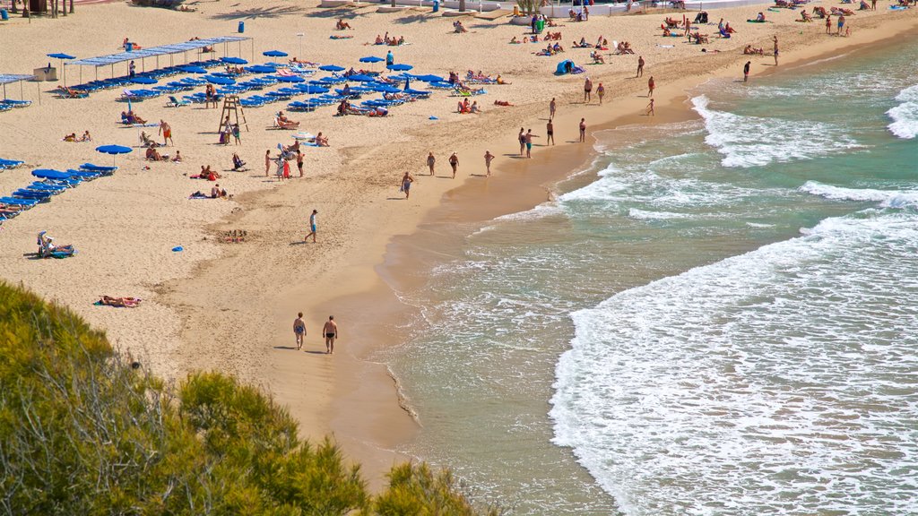 Playa de la Cala mostrando paisagens litorâneas e uma praia de areia