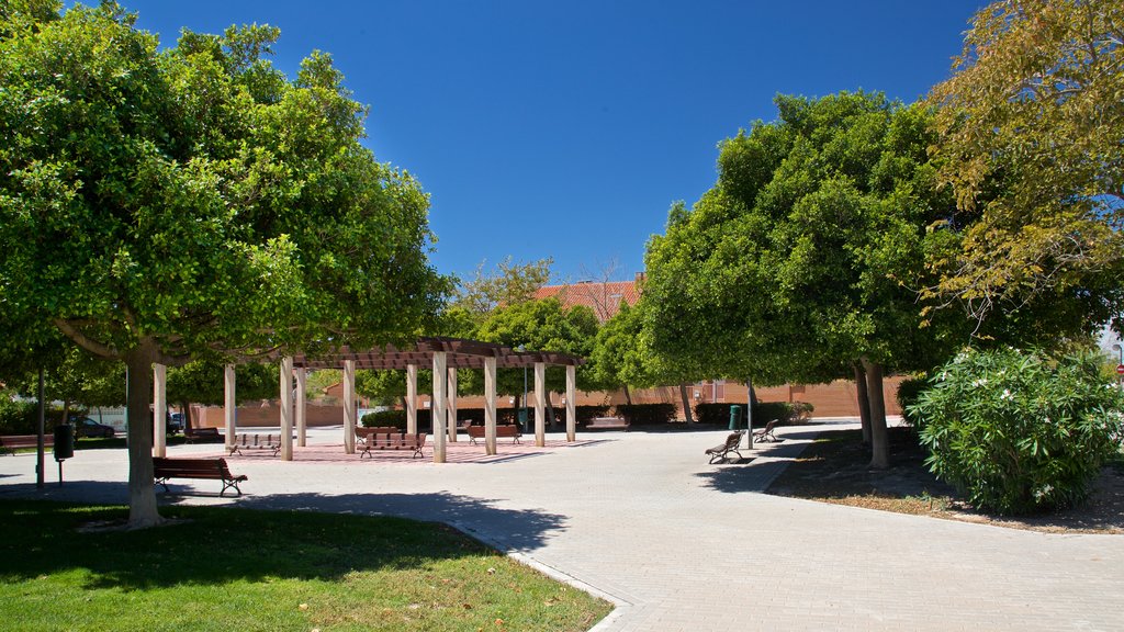 Ciudad Jardin showing a garden