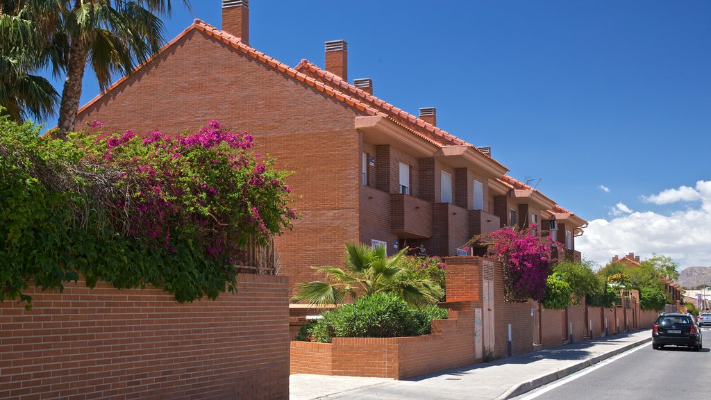 Ciudad Jardín que incluye flores silvestres