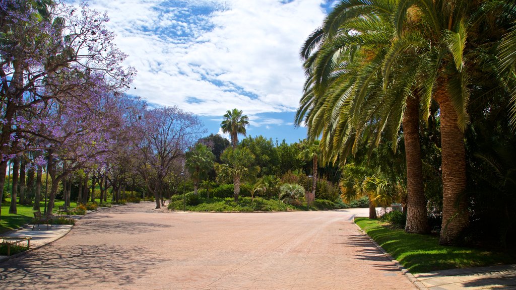 Parc de Benicalap showing a garden