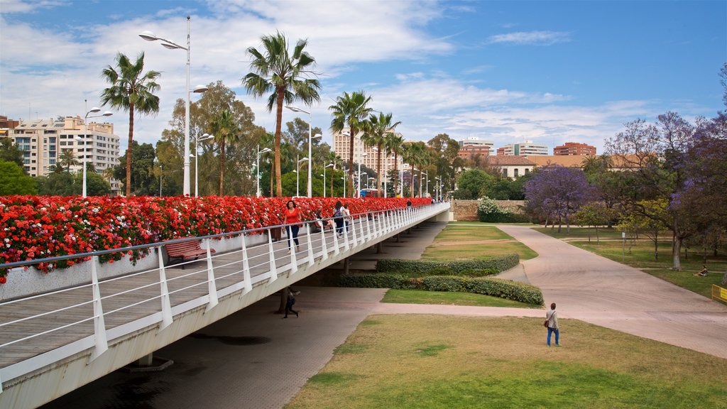 Puente de las Flores que incluye flores, un puente y un jardín