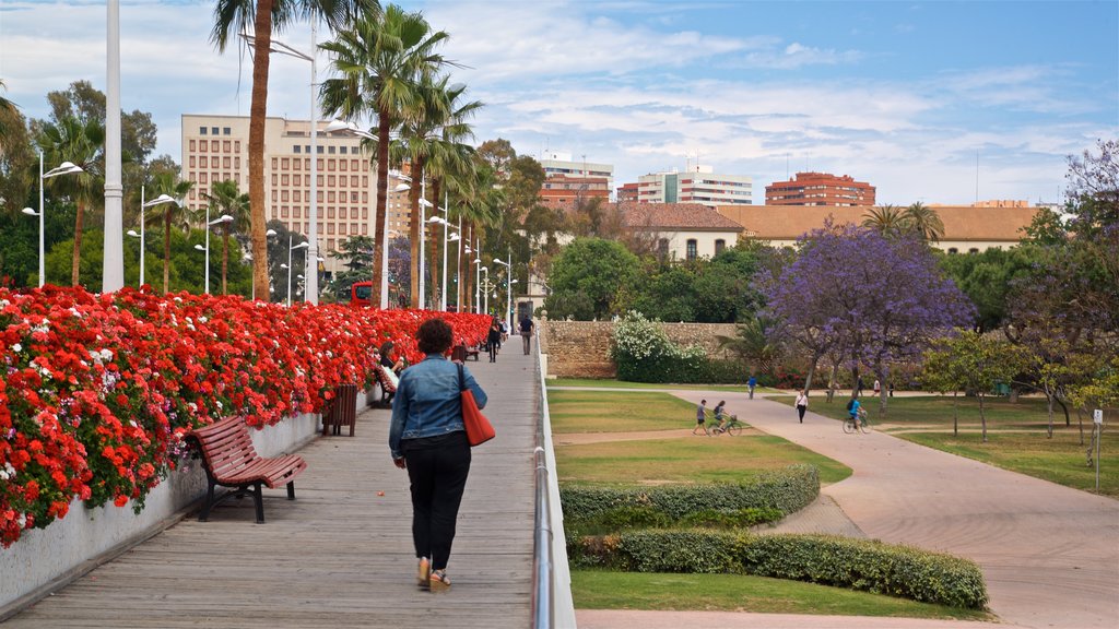 Flower Bridge showing flowers, a park and a bridge