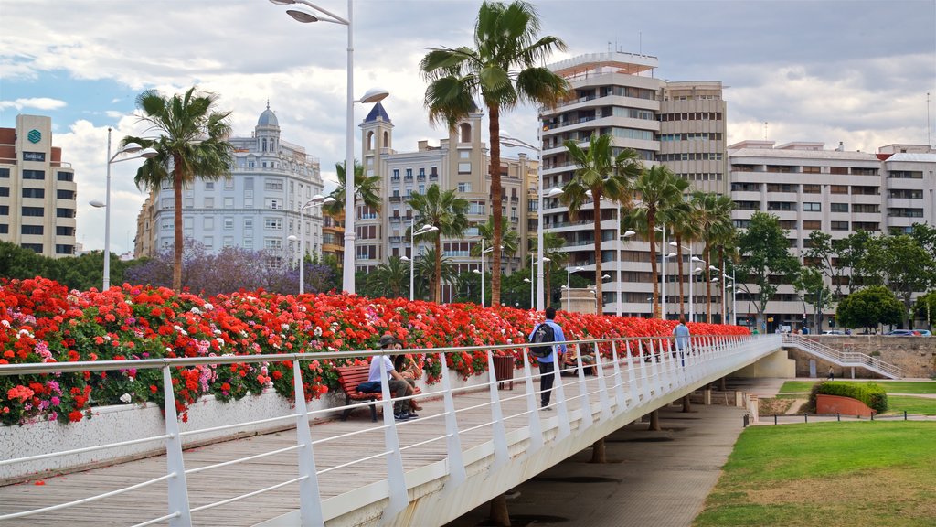 Puente de las Flores ofreciendo un puente, flores y un parque