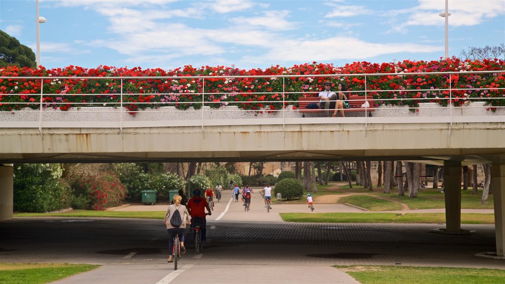 Flower Bridge showing cycling, a park and a bridge