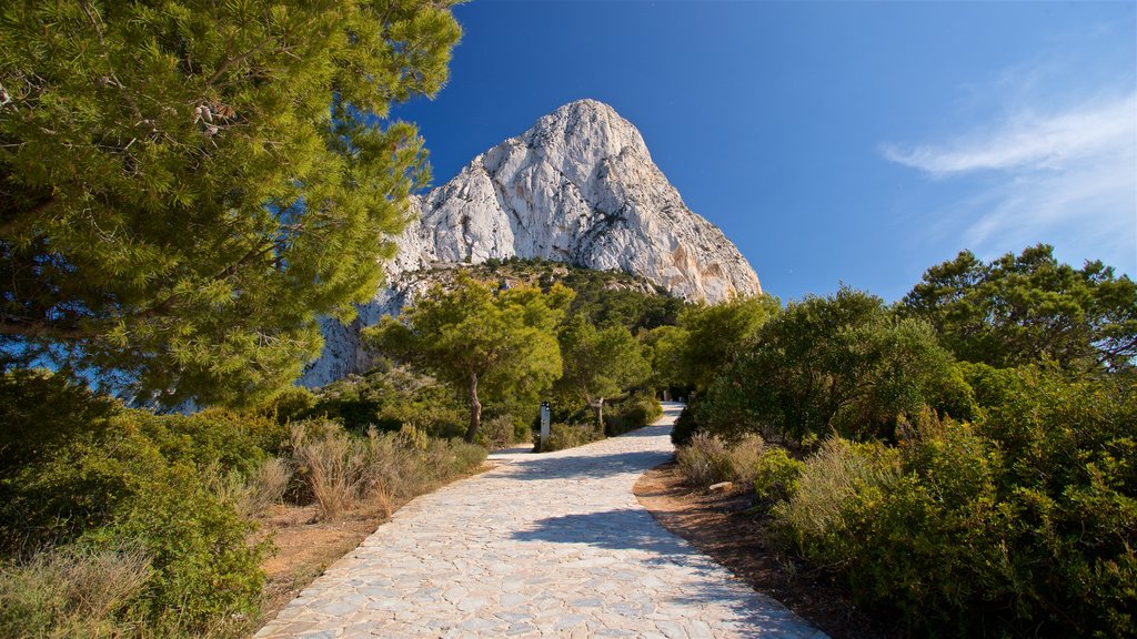 Natural Park of Penyal d\'Ifac showing mountains