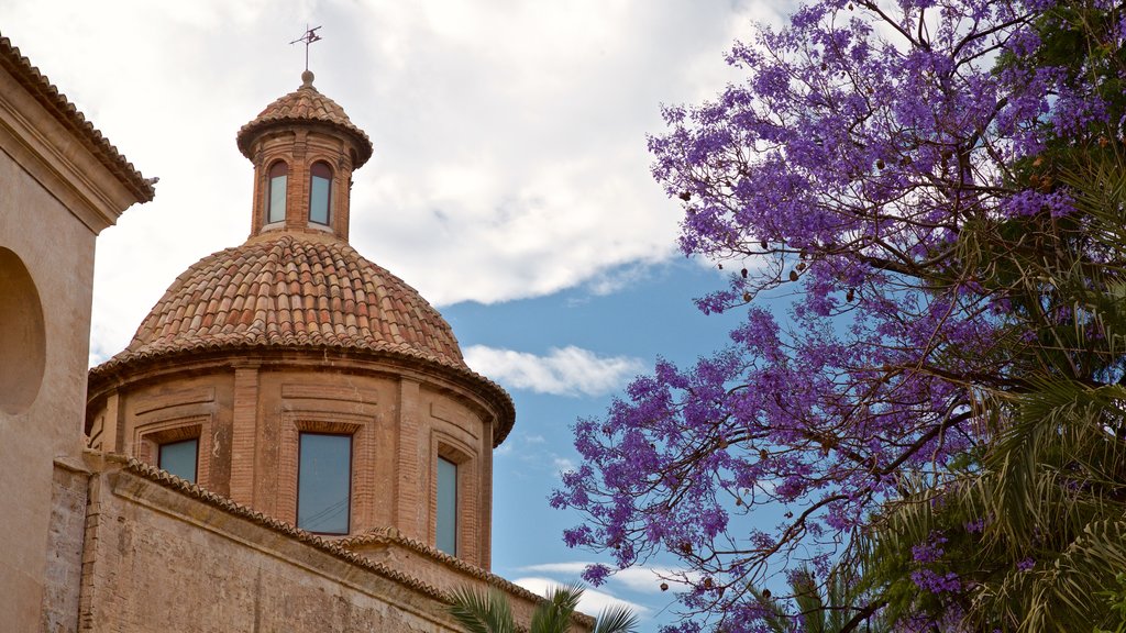 Plaza del Carmen showing heritage elements and wild flowers