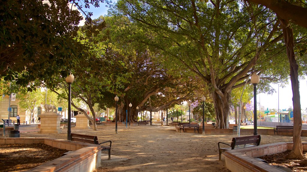 Parque de Canalejas menunjukkan kebun