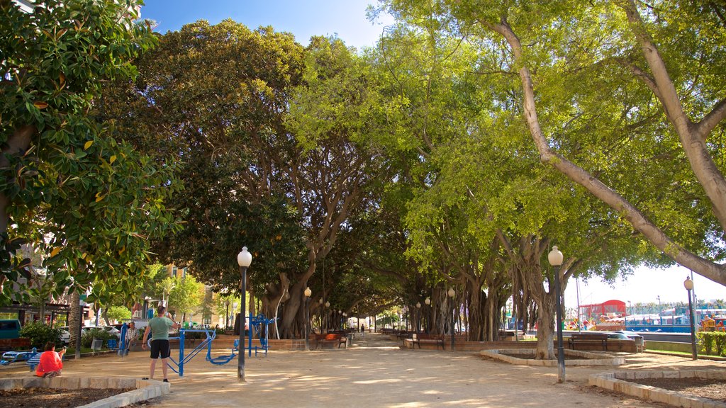 Parque de Canalejas mostrando un jardín