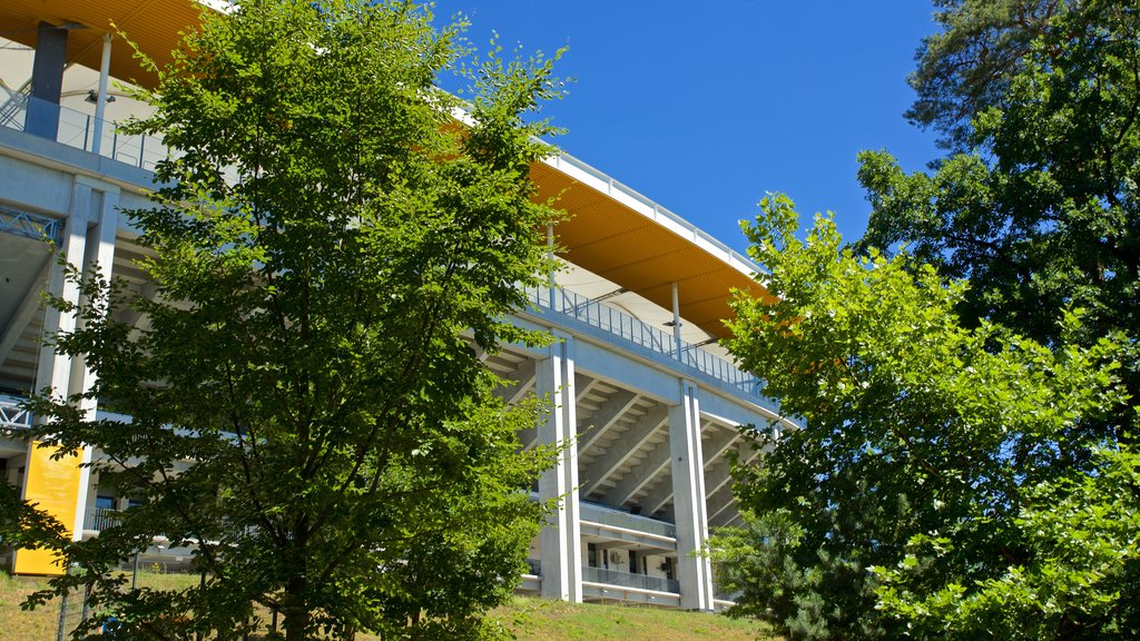 Estadio Commerzbank Arena