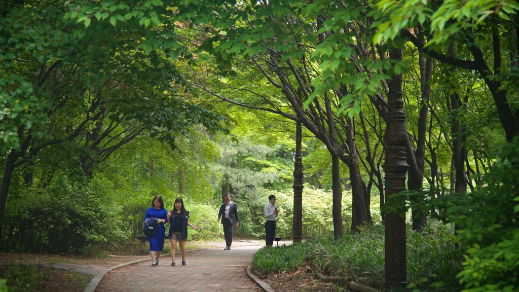 Parque de Yeouido mostrando um parque assim como um pequeno grupo de pessoas