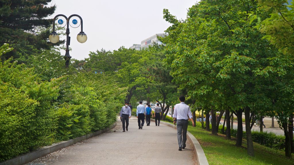 汝矣島 其中包括 花園 以及 小群人