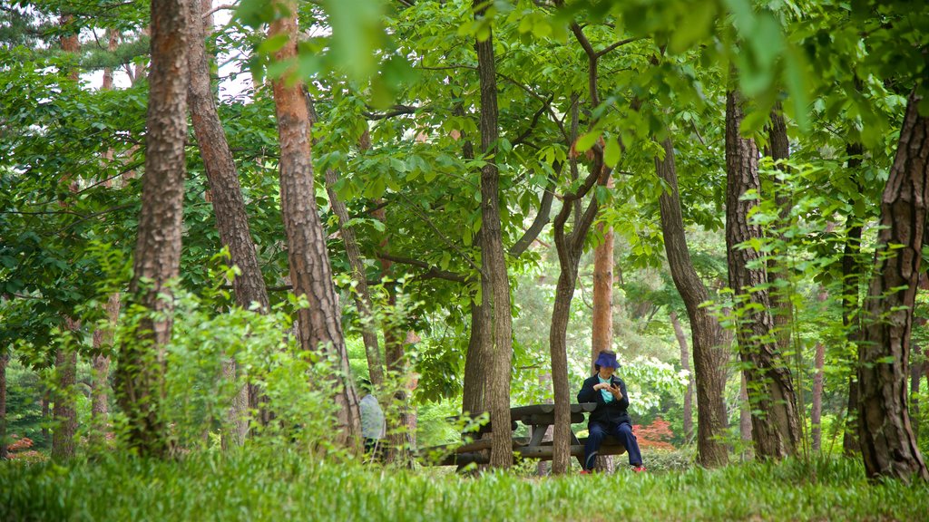 Parque Yeouido mostrando un parque y también una mujer