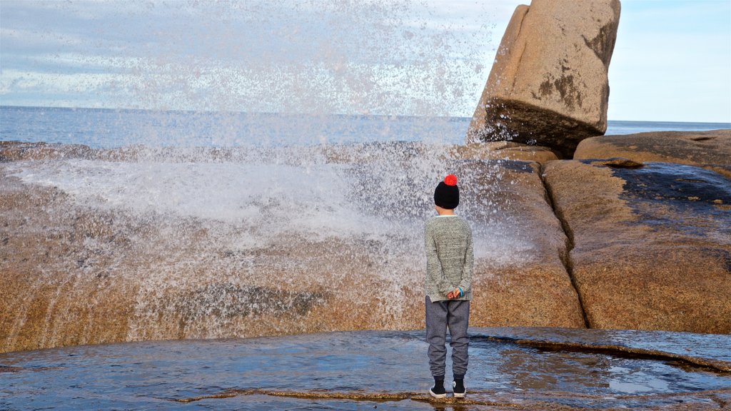 Bicheno Blowhole featuring rocky coastline and general coastal views as well as an individual child