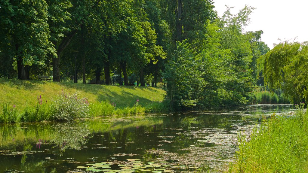 Citadelle Park showing a river or creek and a park