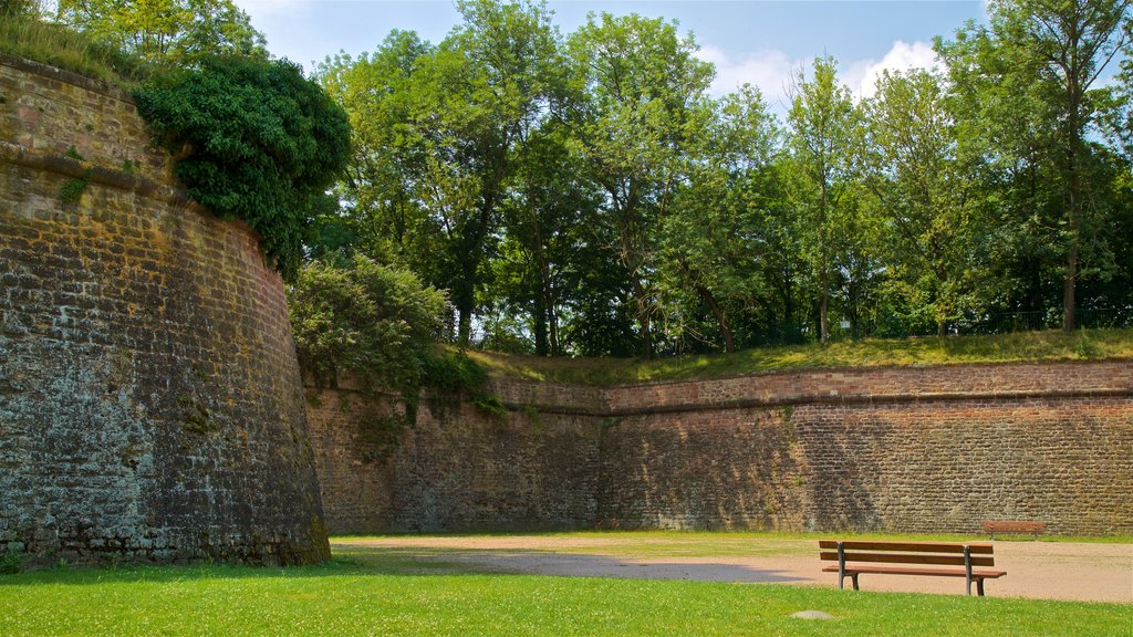 Parque Citadelle que incluye un jardín