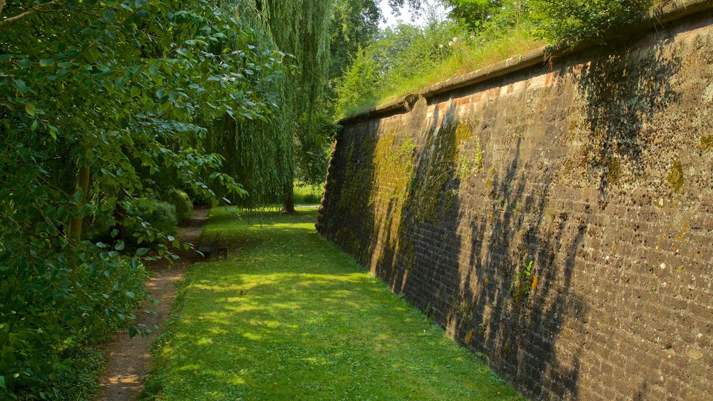 Citadelle Park featuring a park