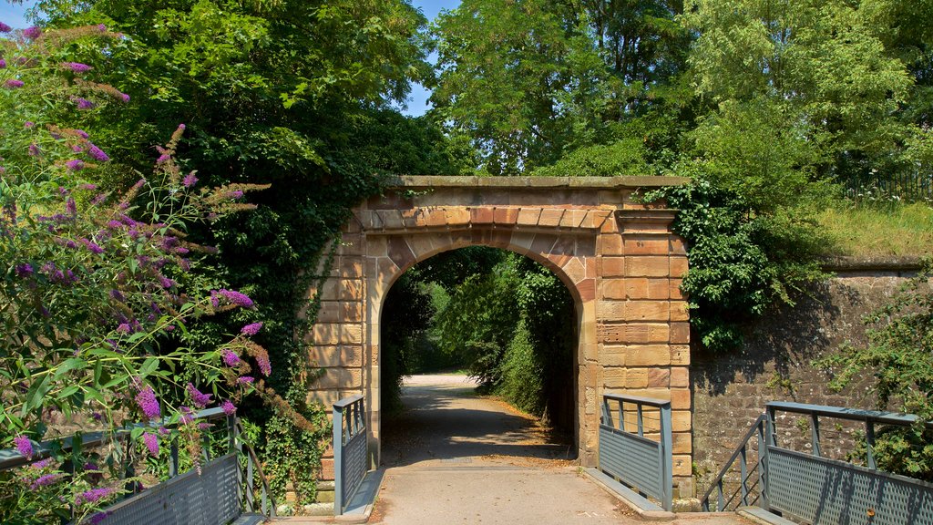 Parc de la Citadelle featuring puutarha