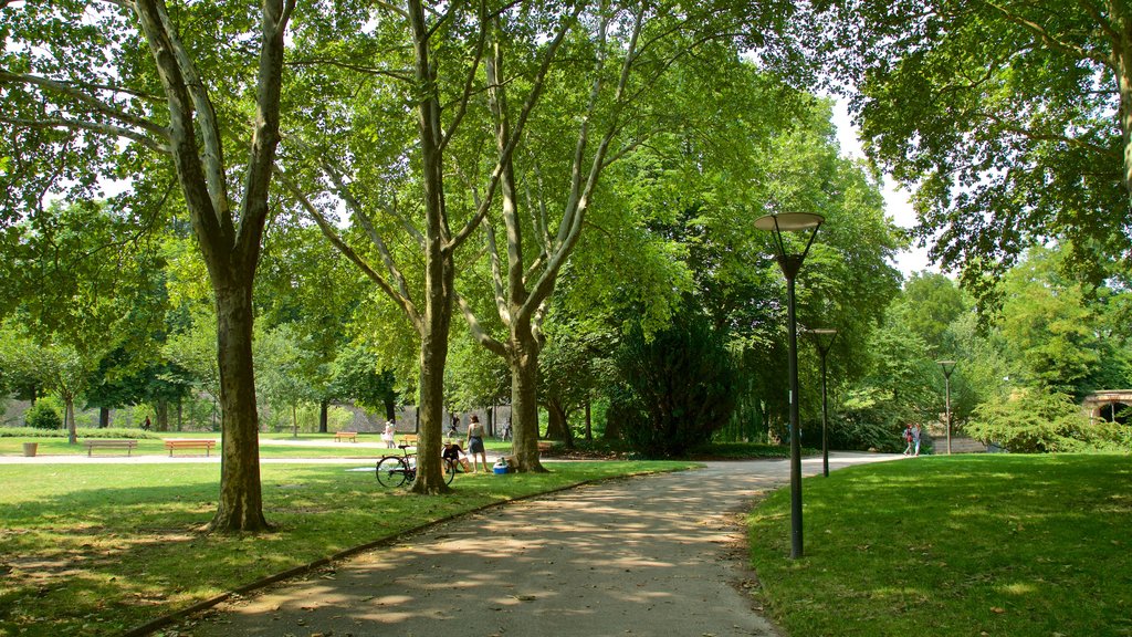 Parque Citadelle mostrando jardín