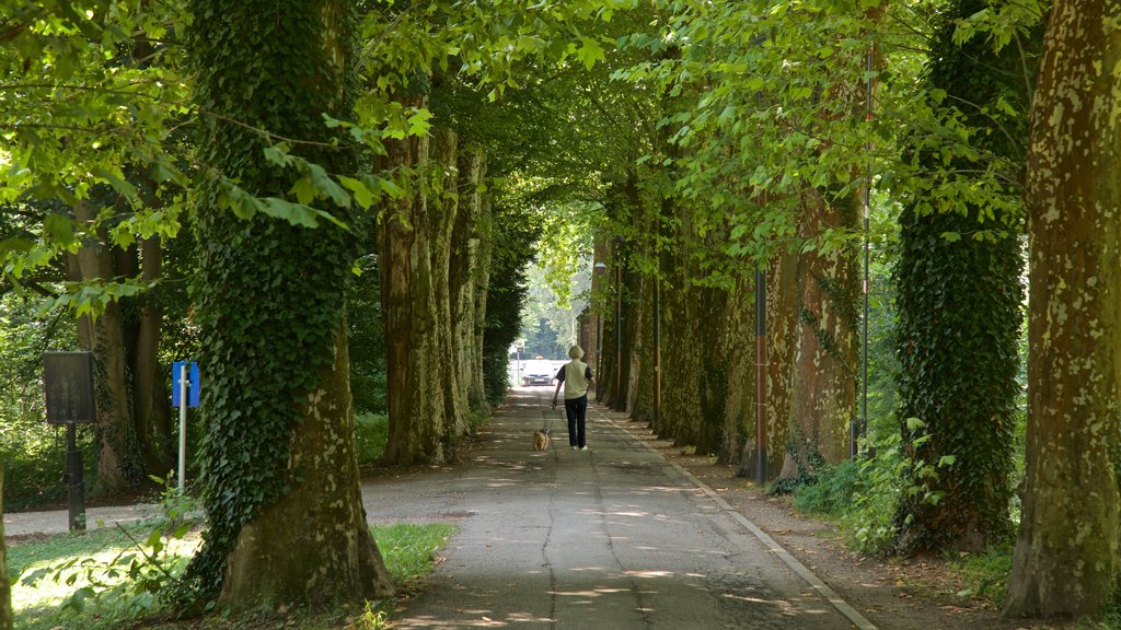 Montagne Verte que incluye un jardín y también una mujer