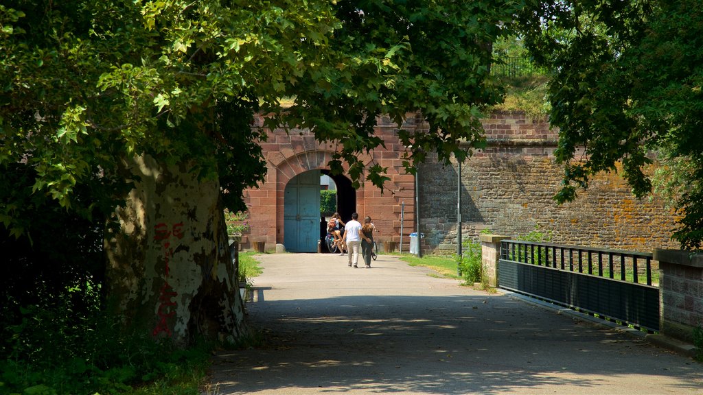 Citadelle Park showing a garden