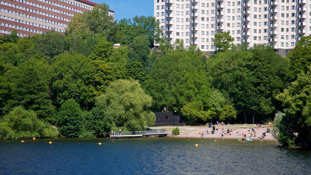 Smedsuddsbadet showing a lake or waterhole as well as a small group of people