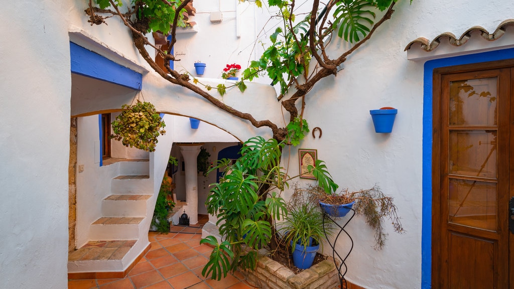 Vejer de la Frontera showing a house