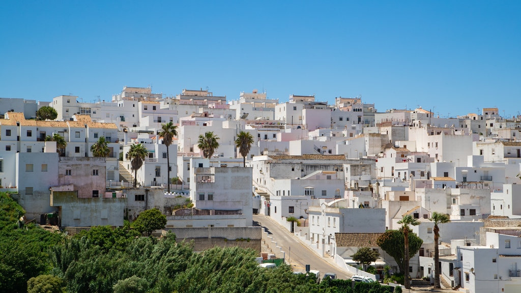 Vejer de La Frontera mostrando una ciudad y vista panorámica