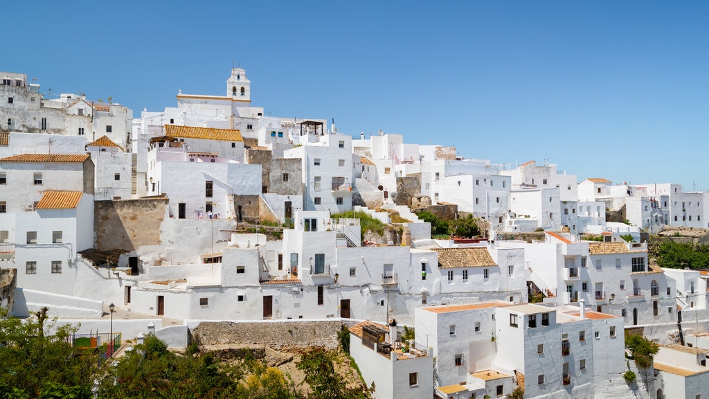 Vejer de la Frontera featuring a city