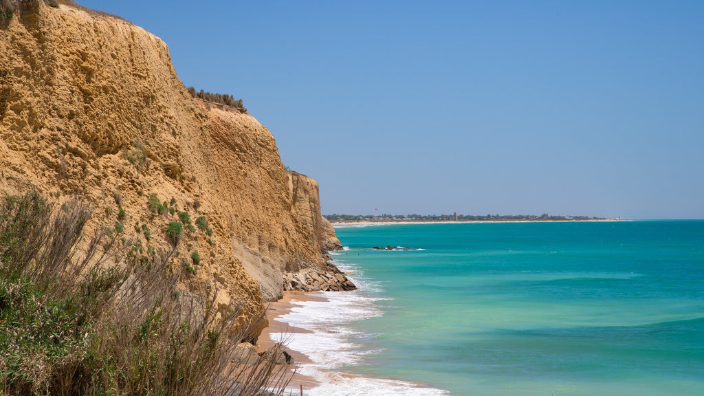 Fuente del Gallo Beach showing general coastal views and rugged coastline