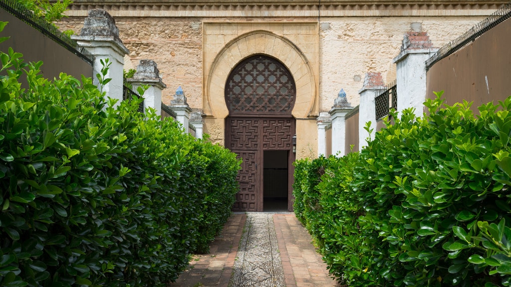 Ciudad vieja que incluye elementos del patrimonio y un parque