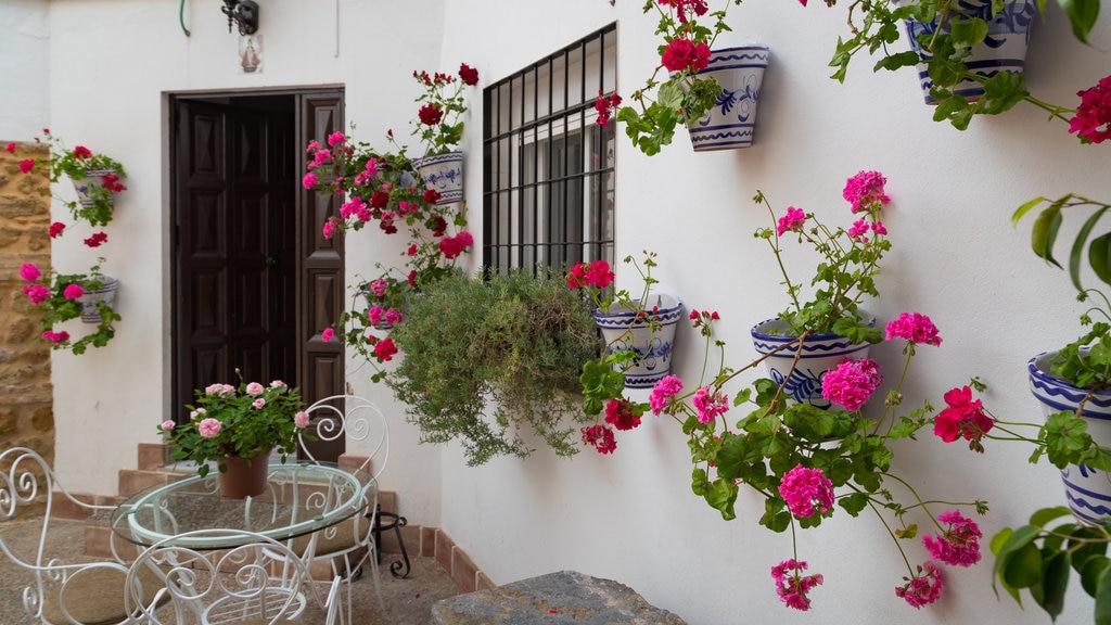 Ciudad vieja que incluye flores y una casa