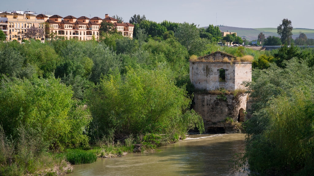 Ciudad vieja mostrando un río o arroyo