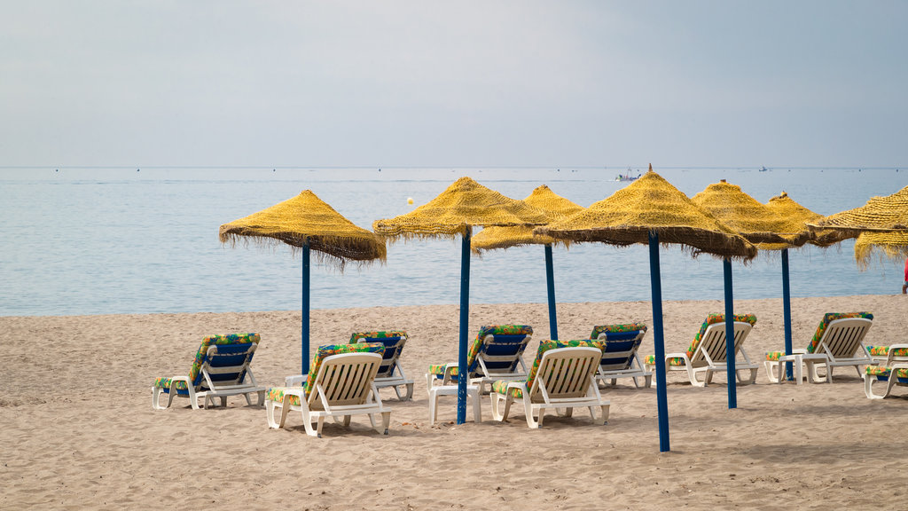 Carvajal Beach featuring general coastal views, tropical scenes and a beach