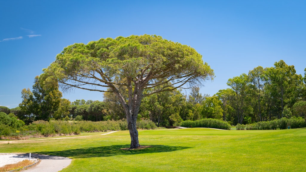 Club de golf La Estancia ofreciendo golf