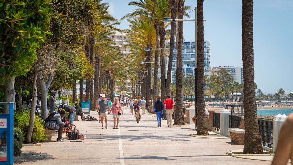 Paseo marítimo de Marbella ofreciendo una ciudad costera y vista general a la costa