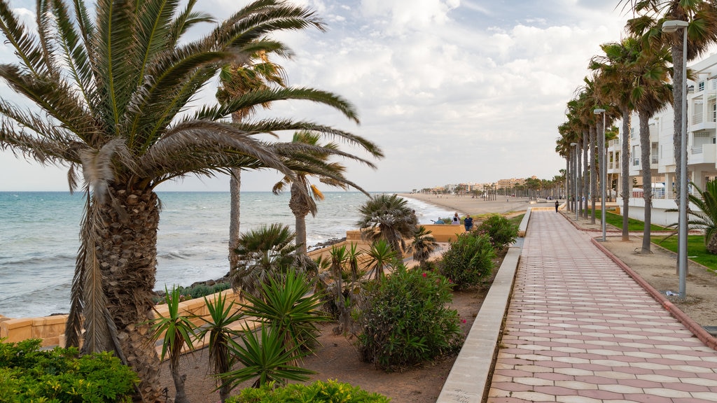 Roquetas de Mar ofreciendo una ciudad costera y vistas generales de la costa