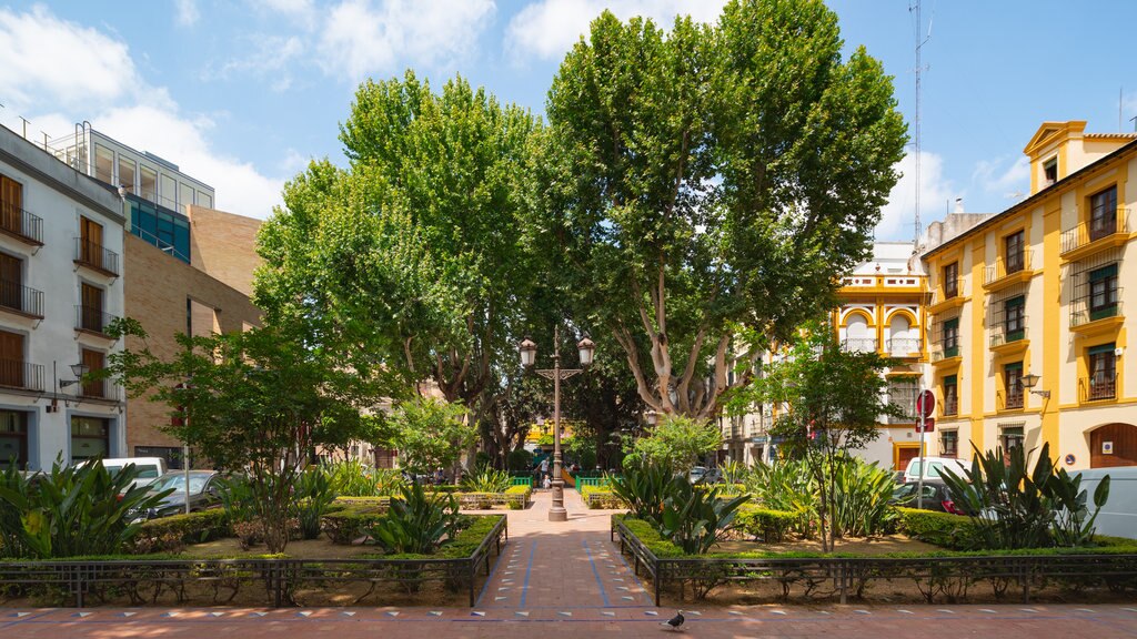 Centro histórico que incluye un jardín