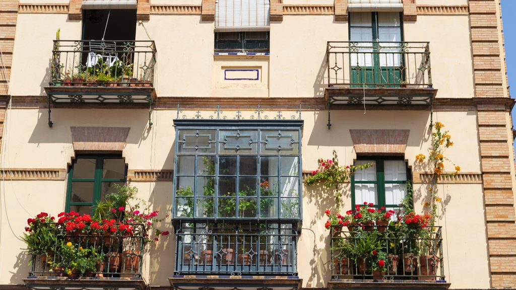 Centro Histórico caracterizando flores