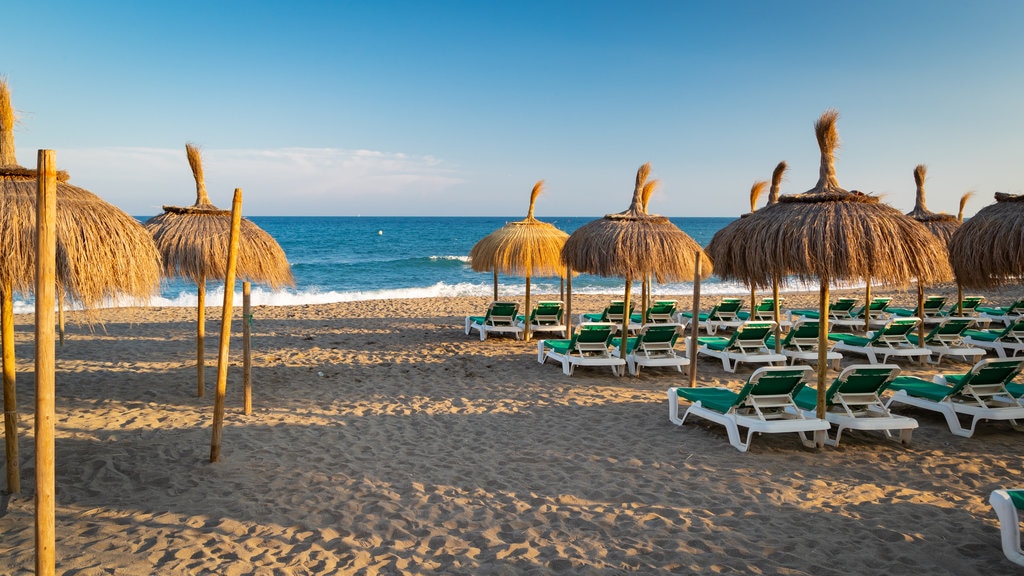 Playa de Venus bevat tropische uitzichten, een zandstrand en algemene kustgezichten