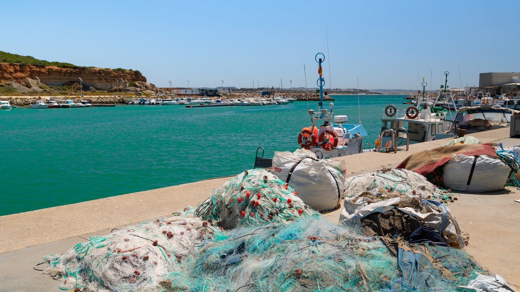 Puerto de Conil que incluye una bahía o puerto