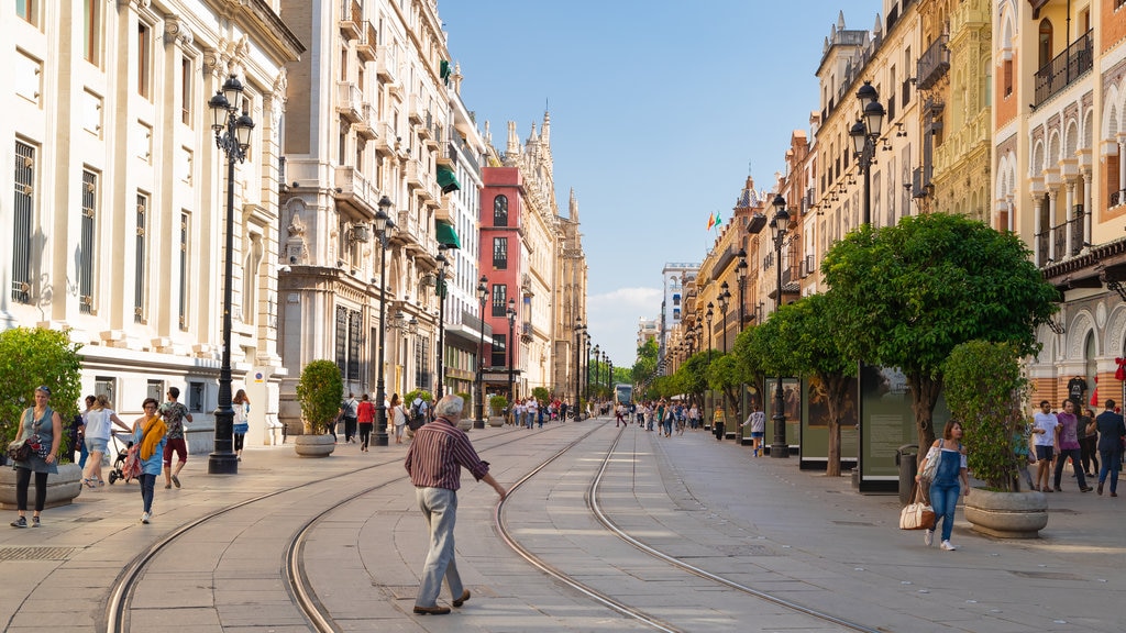 Plaza de San Francisco showing street scenes and a city as well as an individual male