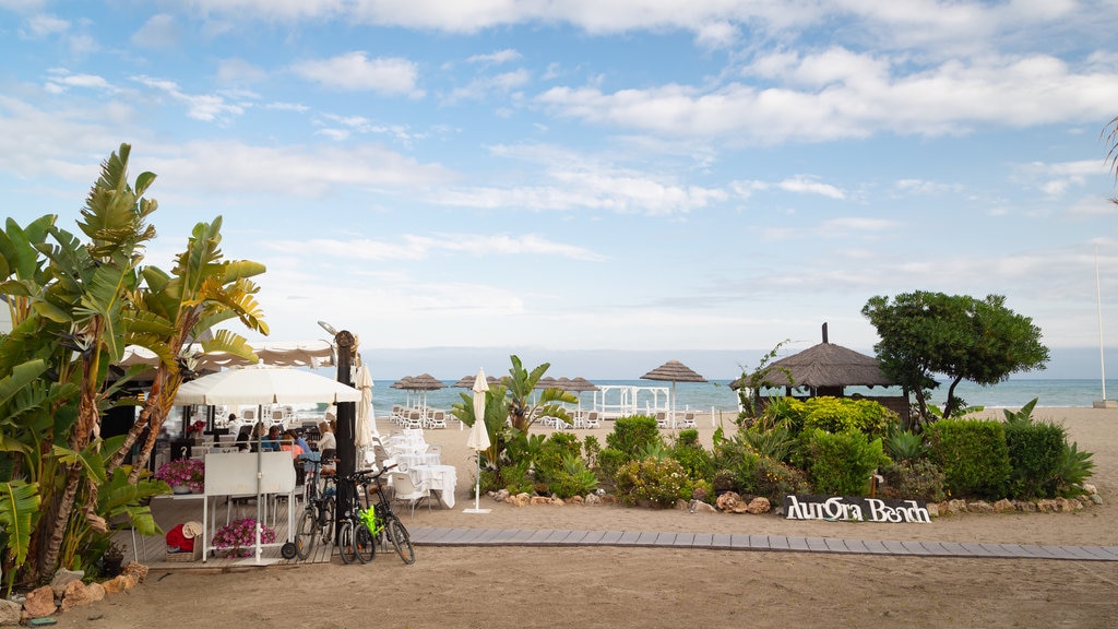 Puerto Banus Beach showing a sandy beach and general coastal views