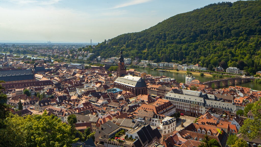 Altstadt inclusief een stad, een rivier of beek en landschappen