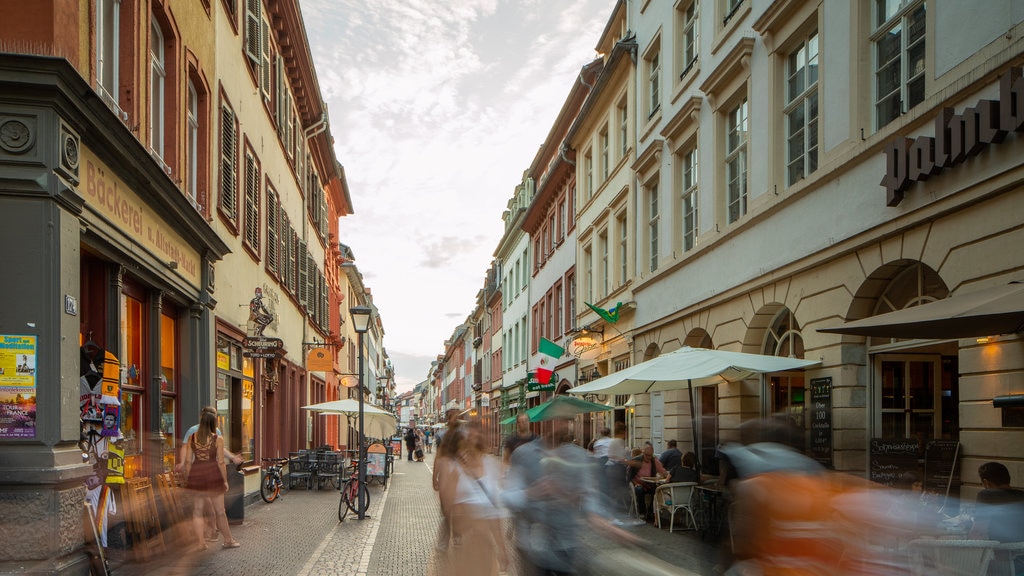 Altstadt toont een stad