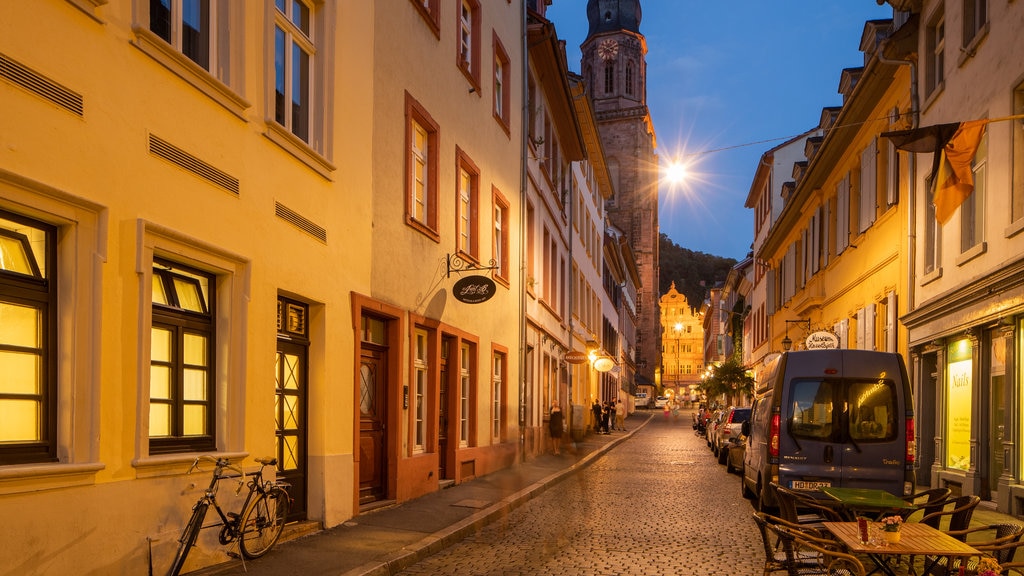 Altstadt showing a city and night scenes