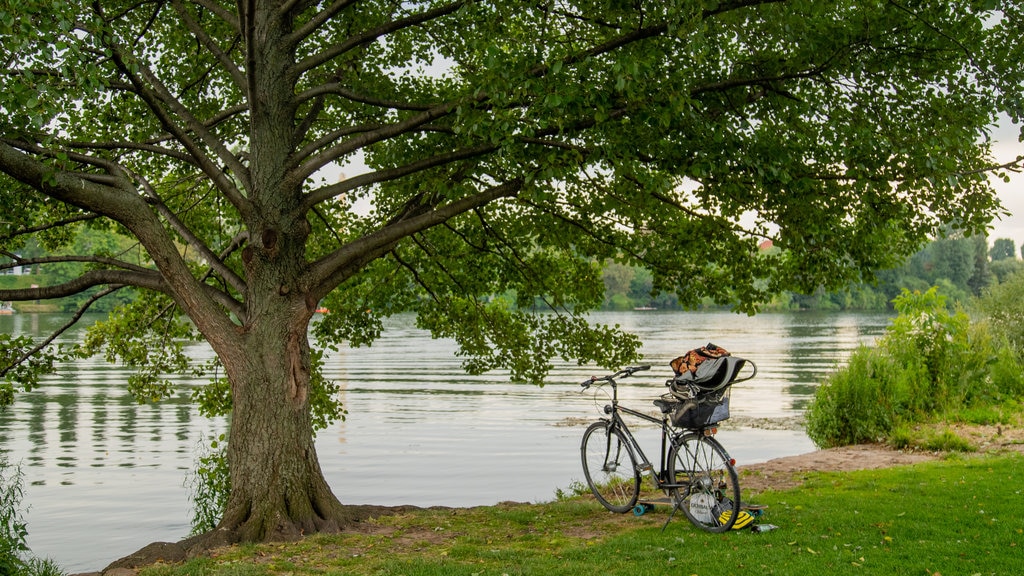 Neckarwiese som visar en trädgård och en sjö eller ett vattenhål