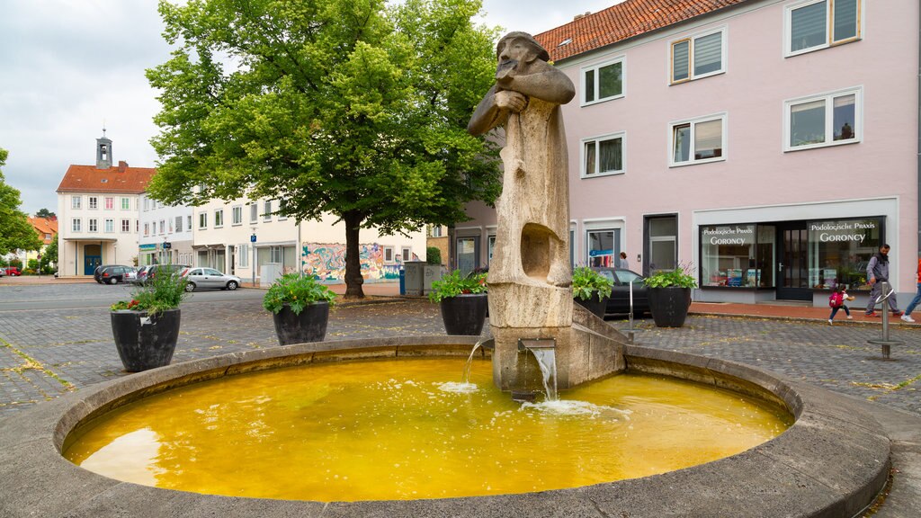 Mittelfeld which includes a fountain