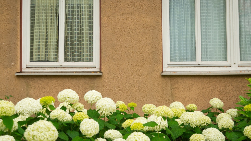 Mittelfeld bevat bloemen en een huis