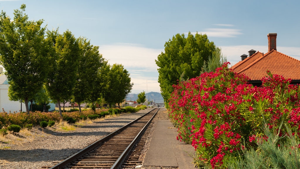 Medford ofreciendo artículos de ferrocarril y flores silvestres