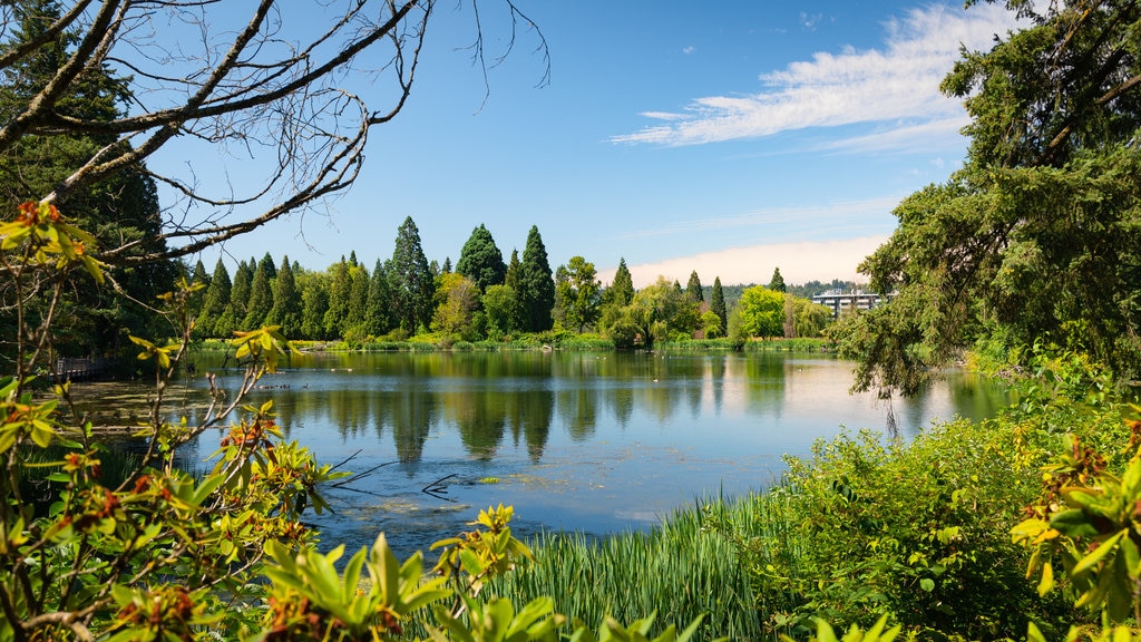 Crystal Springs Rhododendron Garden que inclui um lago ou charco